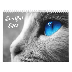 Calendrier Yeux émouvants du chat