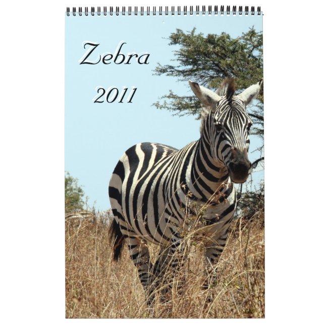 calendrier zebra 2011 à une page (Protection)