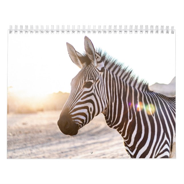 Calendrier Zèbre (Protection)