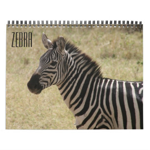 Calendrier zèbre 2025