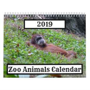 Calendrier Zoo Animaux 2019