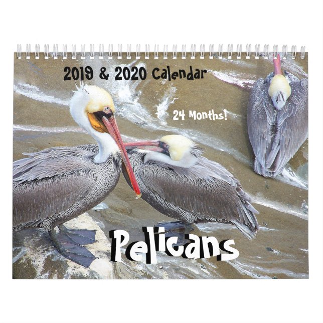 calendriers de 2019 2020 de pélican d'oiseau (Protection)