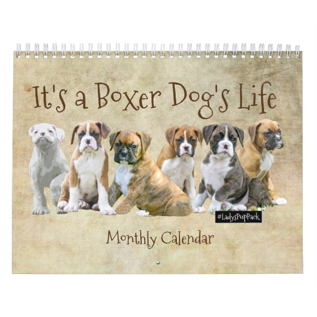 Calendriers de chien - chiots mignons de boxeur (Protection)