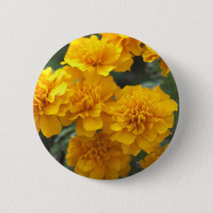 Calendula 2 Inch Round Button