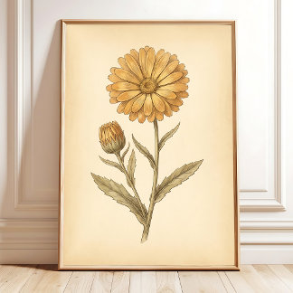 Calendula Flower Art Canvas Print