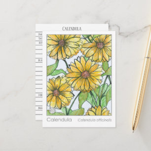 Calendula Materia Medica Herbal Study Card