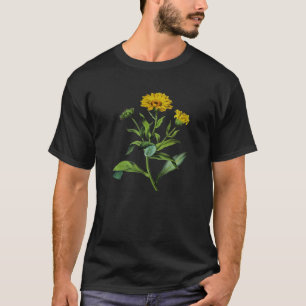 Calendula officinalis Botanical Vector Cut Out T-Shirt