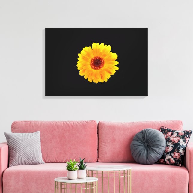 Calendula Officinalis Canvas Print (Insitu(LivingRoom))