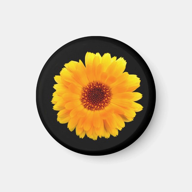 Calendula Officinalis Magnet (Front)