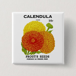 Calendula Vintage Seed Packet 2 Inch Square Button