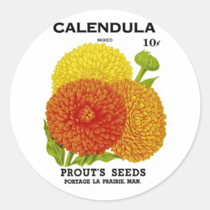 Calendula Vintage Seed Packet Classic Round Sticker