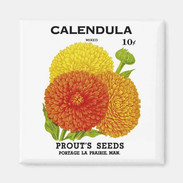 Calendula Vintage Seed Packet Magnet (Front)
