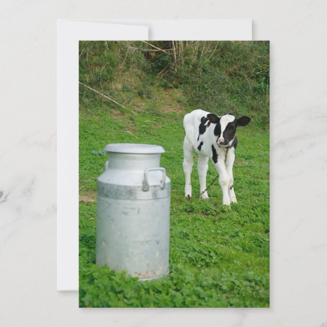 Calf and milk urn (Front)