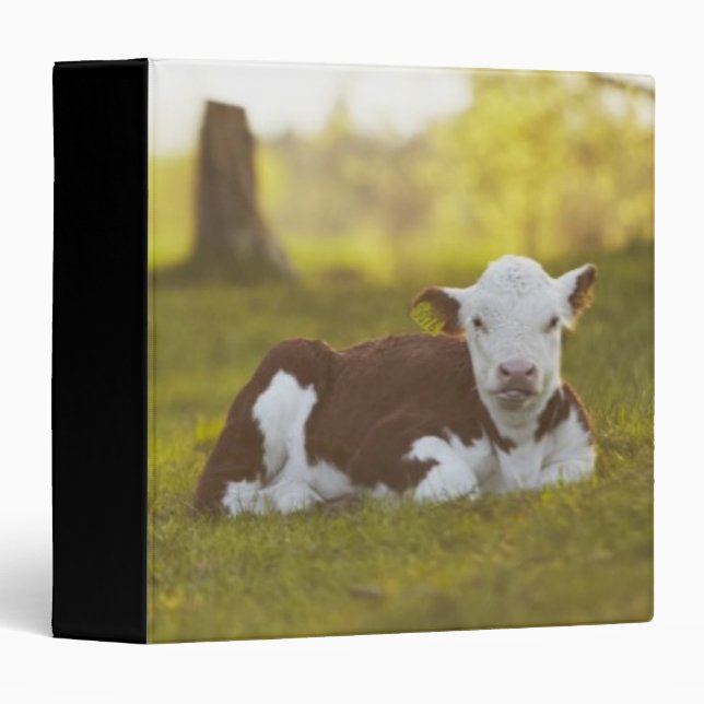 Calf Resting Binder (Front/Spine)