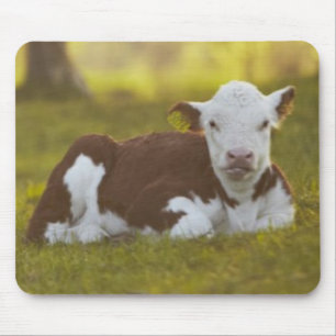 Calf Resting Mouse Pad