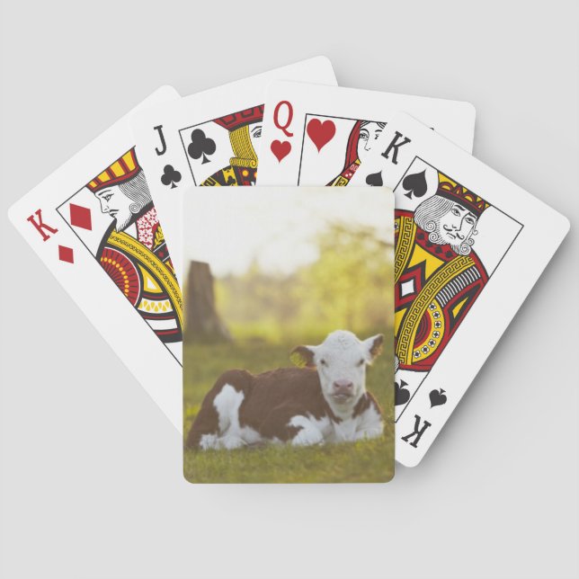Calf Resting Playing Cards (Back)