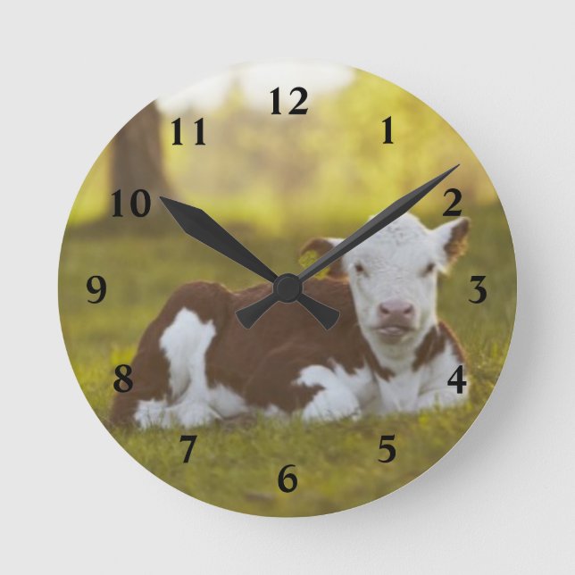Calf Resting Round Clock (Front)