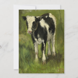 Calf, Spotted Black and White   Geo Poggenbeek