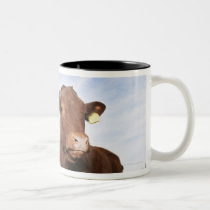 Calf standing in meadow Two-Tone coffee mug