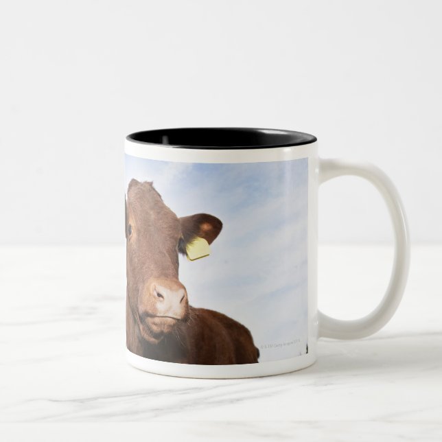Calf standing in meadow Two-Tone coffee mug (Right)