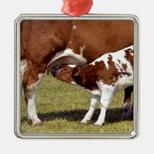 Calf suckling metal ornament