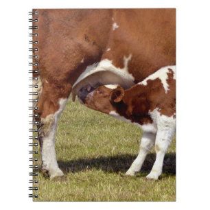Calf suckling notebook
