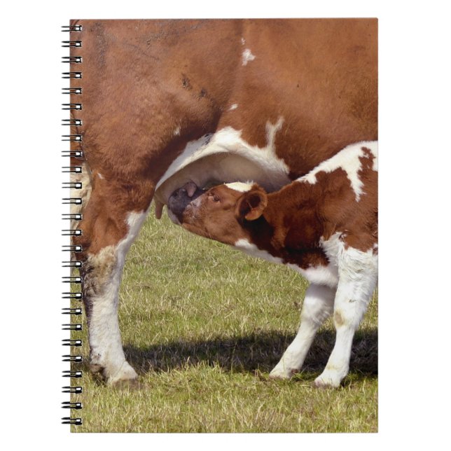 Calf suckling notebook (Front)