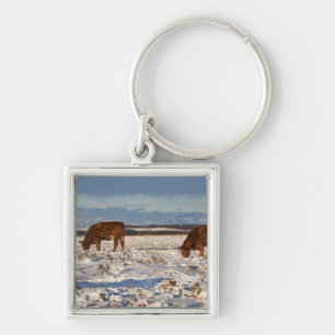 calgary, alberta, canada 2 keychain