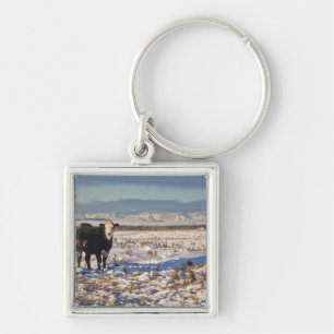 calgary, alberta, canada keychain