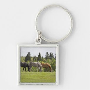 Calgary, Alberta, Canada Keychain