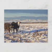 calgary, alberta, canada