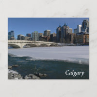 Calgary River and Skyline Postcard
