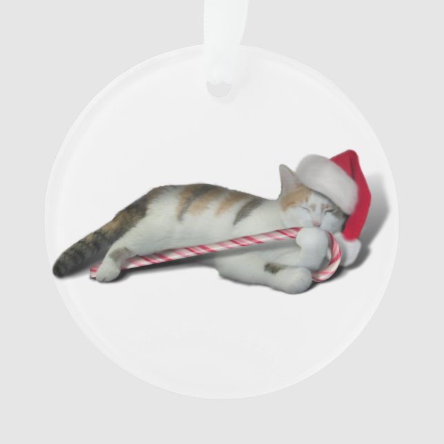 Cali, le Sucre de canne de Noël Kitty (devant)