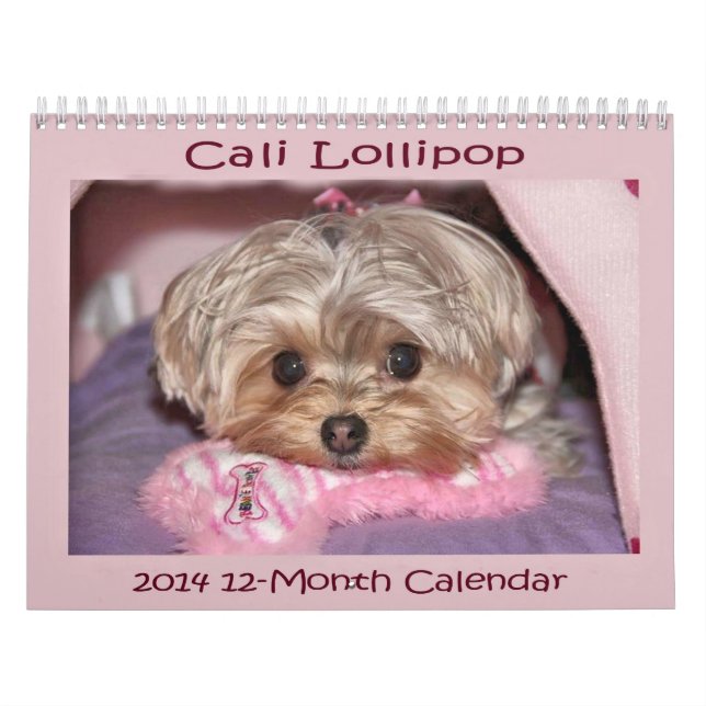 Cali Lollipop 2014 12-Month Calendar (Cover)