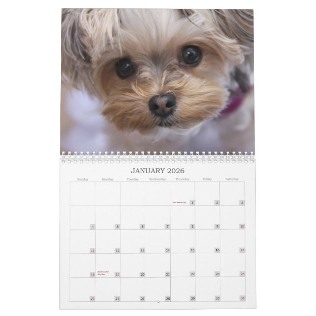 Cali Lollipop 2015 12-Month Calendar (Jan 2026)