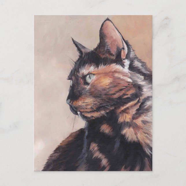 Calico American Shorthair Cat Postcard (Front)