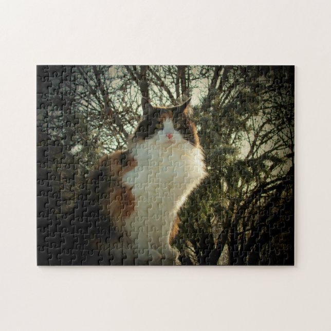 Calico and pine or your photo jigsaw puzzle (Horizontal)