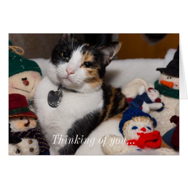 Calico And Snowmen Thinking Of You Card (Front Horizontal)