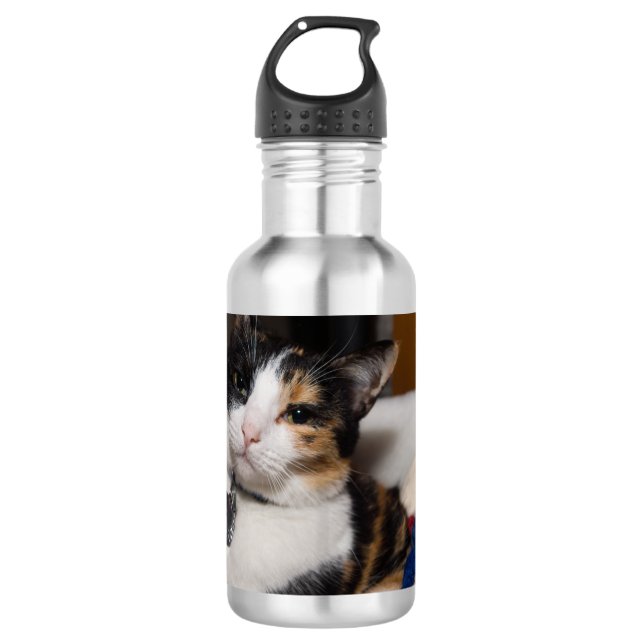 Calico And Snowmen Water Bottle (Front)