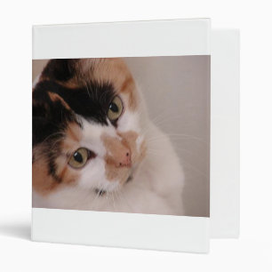 Calico Beauty Cat Binder