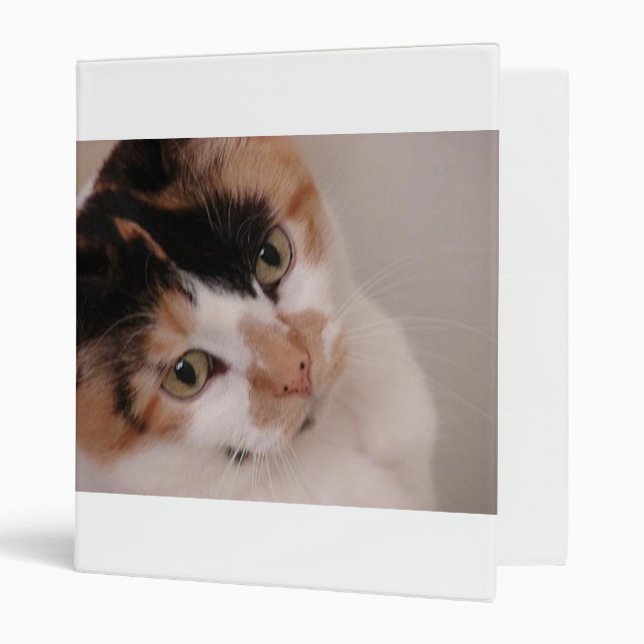 Calico Beauty Cat Binder (Front/Inside)
