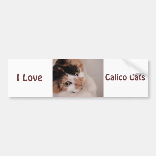 Calico Beauty Cat Bumper Sticker (Front)
