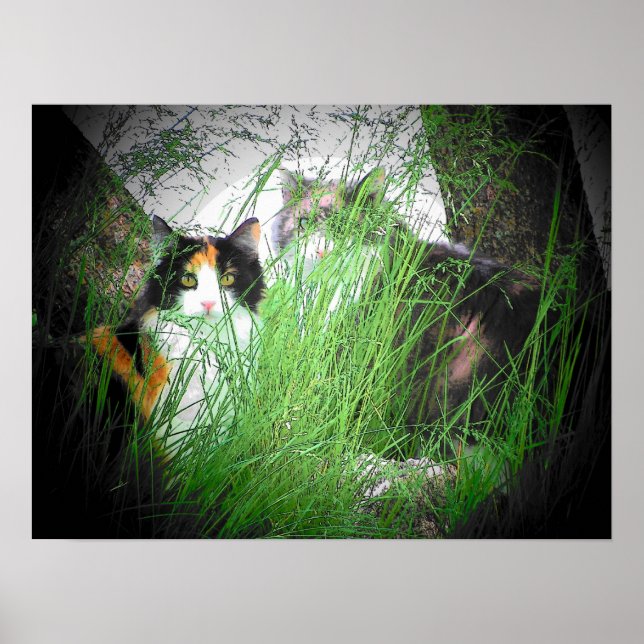 Calico Camo Cats Poster (Front)