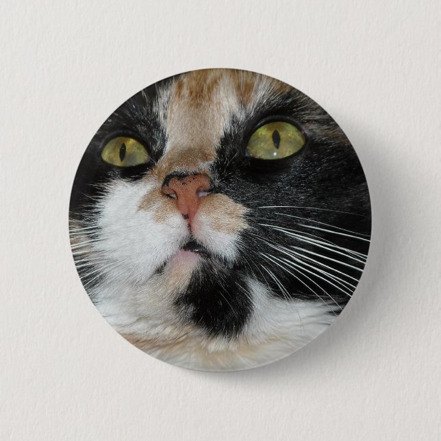 Calico Cat 2 Inch Round Button (Front)