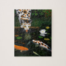 Calico cat and koi fish art. Kinship