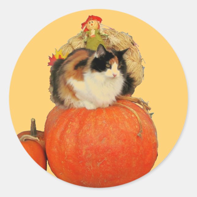 Calico Cat and Scarecrow on Pumpkins Classic Round Sticker (Front)