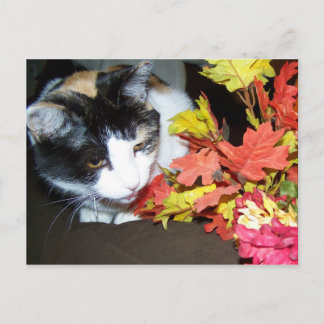 Calico Cat Autumn Postcard