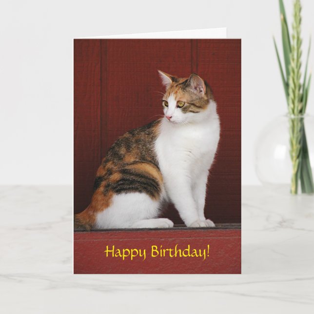 Calico Cat Birthday Card (Front)