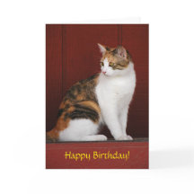 Calico Cat Birthday Card