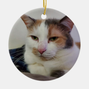 Calico cat ceramic ornament
